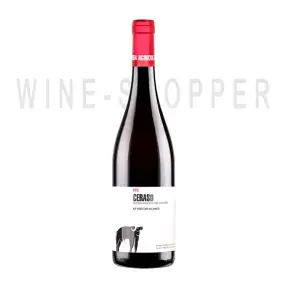 Вино San Salvatore Ceraso Aglianico Paestum 0.75 л