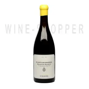Вино Foradori Fontanasanta Manzoni Bianco Vigneti delle Dolomiti IGT 2016 0.75 л