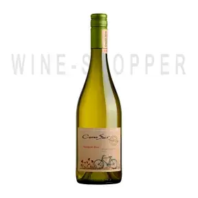 Вино Cono Sur Organic Sauvignon Blanc 2018 0.75 л