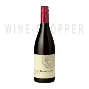 Вино Louis Jadot Coteaux Bourguignons Rouge AOC 2017 0.75 л