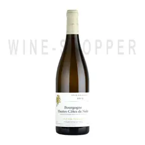 Вино Jayer-Gilles, Bourgogne Hautes Cotes de Nuits AOC Blanc 2015 0.75 л