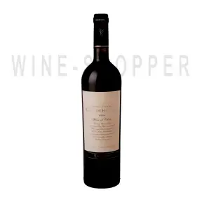 Вино San Pedro Cabo de Hornos Special Reserve 2009 0.75 л