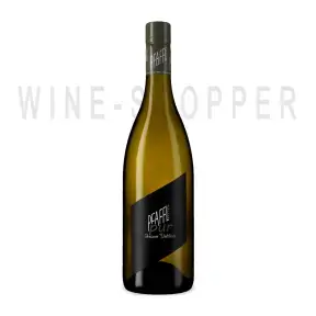 Вино Weingut R&A Pfaffl, Gruner Veltliner Pur 2019 0.75 л
