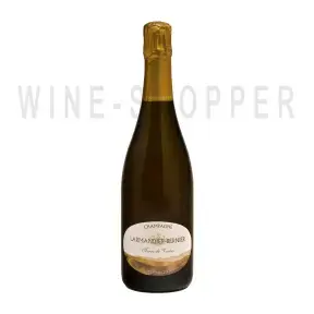 Шампанское Larmandier-Bernier Terre de Vertus Non Dose Blanc de Blancs AOC Premier Cru 0.75 л