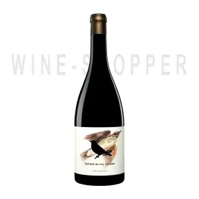 Вино Vina Zorzal Senora de las Alturas, Navarra DO 2016 0.75 л
