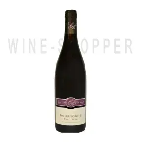 Вино Chateau des Bois Bourgogne Pinot Noir 2016 0.75 л