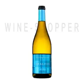 Вино Analivia DO Rueda Sauvignon Blanc white dry 2016 0.75 л
