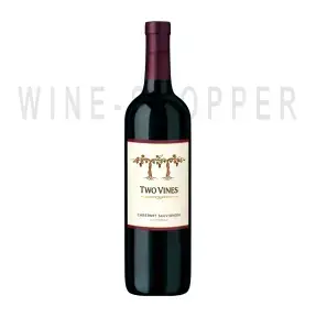 Вино Two Vines Cabernet Sauvignon 2013 0.75 л