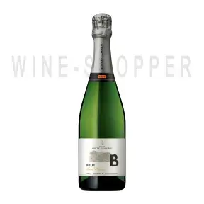 Игристое вино Tenuta Corte Giacobbe Brut 2015 0.75 л