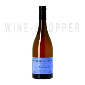 Вино Domaine Sylvain Pataille, Bourgogne Les Auvonnes au Pepe Aligote AOC 2018 0.75 л