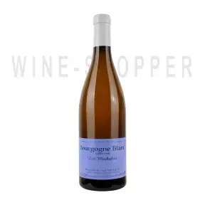 Вино Domaine Sylvain Pataille, Bourgogne Blanc Les Mechalots AOC 2018 0.75 л