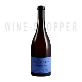 Вино Domaine Sylvain Pataille, Fleur de Pinot, Marsannay Rose AOC 2018 0.75 л
