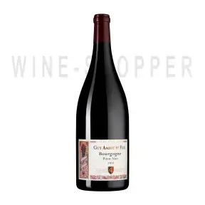 Вино Domaine Guy Amiot et Fils, Bourgogne Pinot Noir AOC 2018 1.5 л