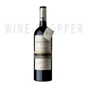 Вино Codorniu Septima Tierra 1310 msnm Malbec 2017 0.75 л