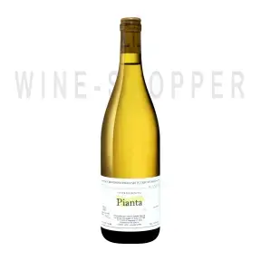 Вино Ciro Biondi, Pianta, Etna DOC 2018 0.75 л