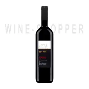 Вино Ben Ami Cabernet Sauvignon 2019 0.75 л