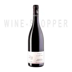 Вино Le Pied de la Butte Bourgueil AOC 2019 0.75л