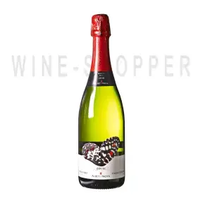 Игристое вино Albet i Noya, Efecte Brut Reserva, Penedes DO 0.75 л