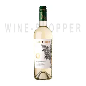 Вино Caliterra Sauvignon Blanc Reserva DO 2020 0.75 л