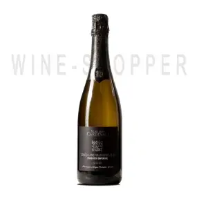 Игристое вино вино Vini dei Cardinali Conegliano Valdobbiadene Prosecco Superiore DOCG Extra Dry 2020 0.75 л