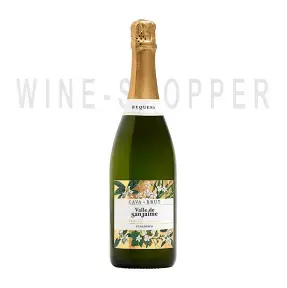Игристое вино Cherubino Valsangiacomo, Cava Valle de San Jaime DO Ecologico Brut 0.75 л