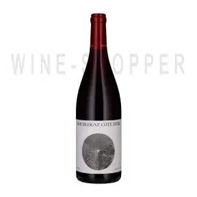 Вино Louis Jadot Bourgogne Cote d'Or AOC 2019 0.75 л