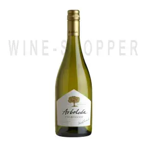 Вино Arboleda Chardonnay 2019 0.75 л