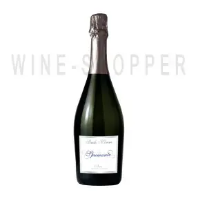 Игристое вино Cantine Quattro Valli, Paolo Morini Spumante Brut 0.75 л