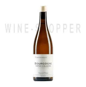 Вино Patrick Piuze Bourgogne Cotes d'Auxerre 2020 0.75 л