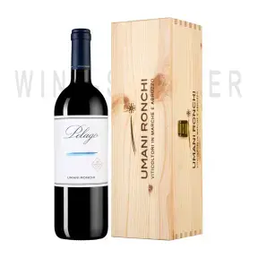 Вино Pelago Marche Rosso IGT wooden box 2016 1.5 л