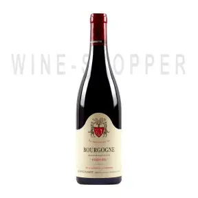Вино Domaine Geantet-Pansiot Bourgogne Pinot Fin AOC 2019 0.75 л