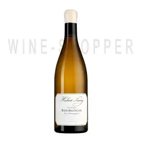 Вино Domaine Hubert Lamy Bourgogne Chardonnay Les Chataigners AOC 2018 0.75 л
