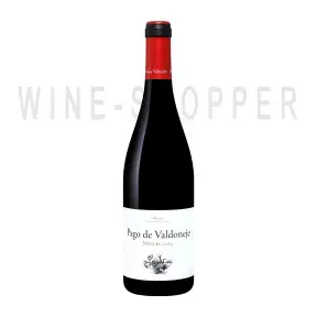 Вино Vinos Valtuille Pago de Valdoneje Mencia Bierzo DO 2019 0.75л
