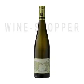 Вино Kuhling-Gillot Rothenberg GG Riesling Wurzelecht 2018 0.75 л