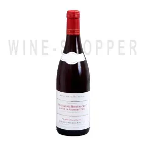 Вино Domaine Michel Niellon Chassagne-Montrachet Premier Cru Clos de la Maltroie Rouge 2019 0.75 л