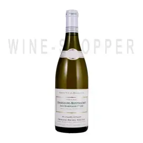 Вино Domaine Michel Niellon Chassagne-Montrachet Premier Cru Les Champgains 2019 0.75 л