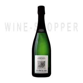 Шампанское Marie Copinet La Ruelle des Loups Extra Brut Champagne AOC 0.75 л