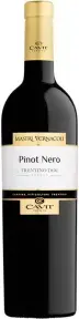 Вино Mastri Vernacoli Pinot Nero Trentino DOC, 2022, 0.75 л