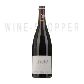 Вино Alain Burguet Bourgogne Les Pince Vin 2019 0.75 л