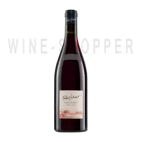 Вино Sancerre Rouge AOC 2019 0.75 л