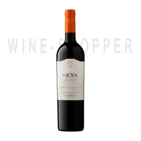 Вино Bisquertt La Joya Gran Reserva Cabernet Sauvignon Colchagua Valley DO 2020 0.75 л