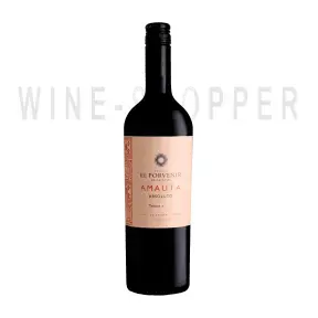 Вино Amauta Absoluto Tannat 2020 0.75 л