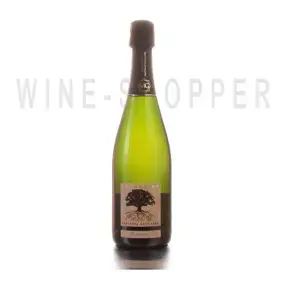Игристое вино Guillaume Marteaux Excellence Brut 2015 0.75 л