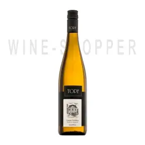 Вино Johann Topf Strass im Strassertal Gruner Veltliner Kamptal DAC 2021 0.75 л 