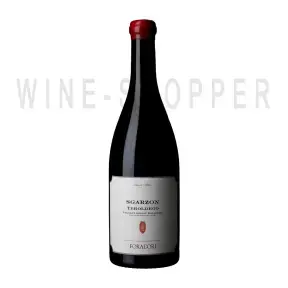 Вино Foradori Sgarzon Cilindrica Vigneti Dolomiti IGT 2019 0.75 л