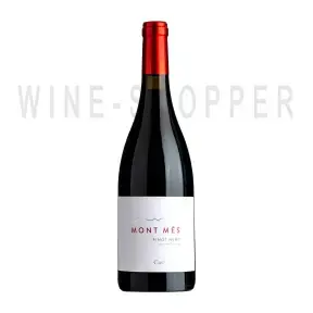 Вино Castelfeder Mont Mes Pinot Nero Vigneti delle Dolomiti IGT 2020 0.75 л