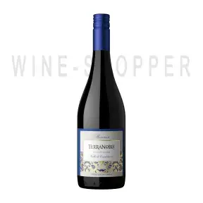 Вино TerraNoble Reserva Pinot Noir Valle de Casablanca DO 0.75 л