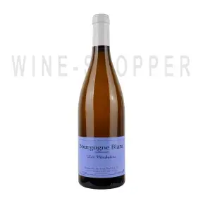 Вино Domaine Sylvain Pataille Bourgogne Blanc Les Mechalots AOC 2019 0.75 л