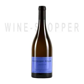 Вино Domaine Sylvain Pataille Bourgogne AOC Aligote 2020 0.75 л