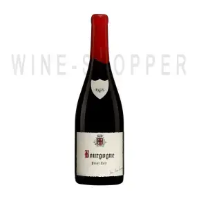 Вино Domaine Fourrier Jean-Marie Fourrier Bourgogne Rouge 2019 0.75 л